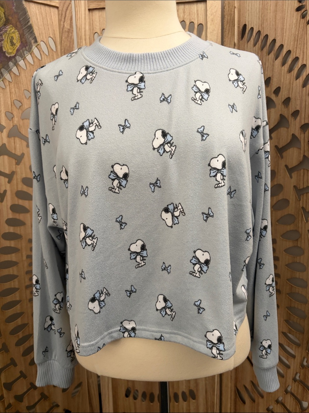 AMERICAN EAGLE LOUNGE - SNOOPY TOP - M - Picture 1 of 5